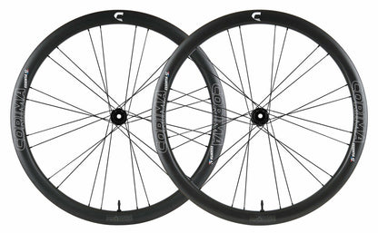 NEW ESSENTIA 42