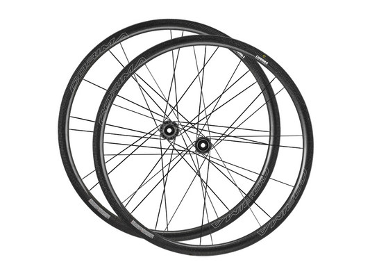 WS EVO 32MM DX disc brake - tubular (pair)